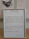 Galerie photo 